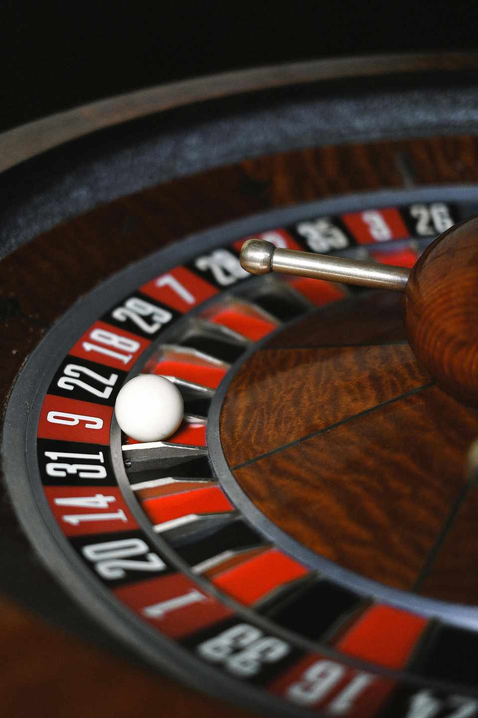 Cryptoleo Casino : Découvrez les Offres Spéciales Exclusives